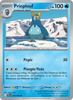 Prinplouf 28