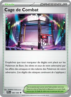 Cage de Combat 85