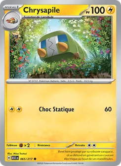 Chrysapile 65