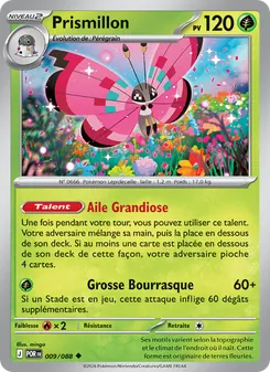 Prismillon 9