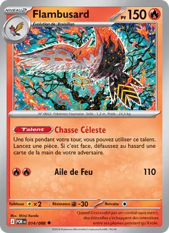 Flambusard 14