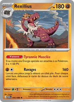 Rexillius 45