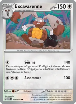 Excavarenne 65