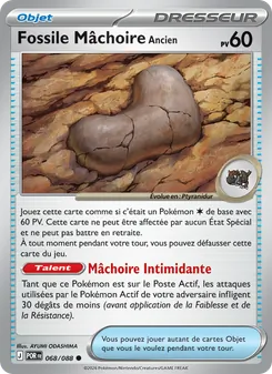 Fossile Mâchoire Ancien 68