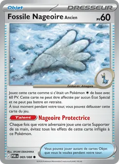 Fossile Nageoire Ancien 69