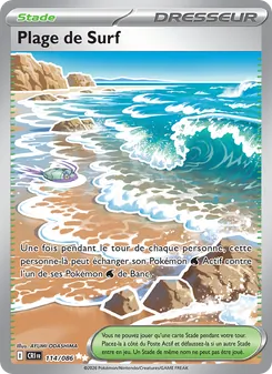 Plage de Surf 114