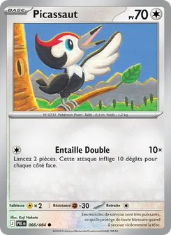 Picassaut 66