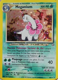 Meganium 10
