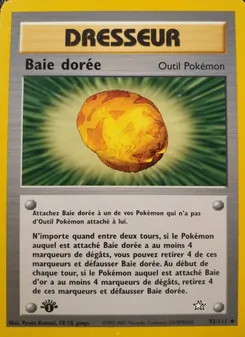 Baie dorée 93