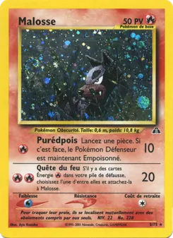 Malosse 5