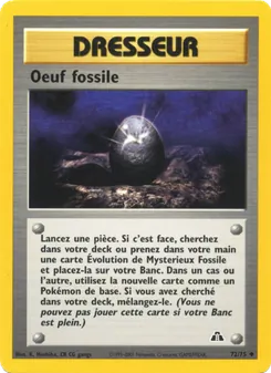Oeuf fossile 72