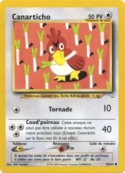 Canarticho 43