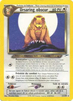 Ursaring obscur 21