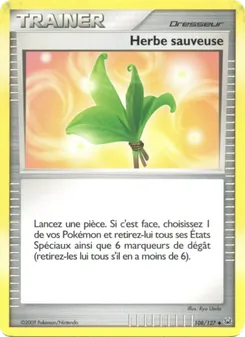 Herbe sauveuse 108