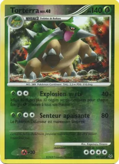 Torterra 39