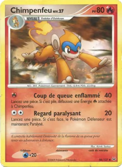Chimpenfeu 56