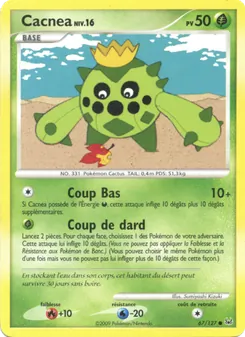 Cacnea 67