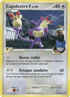Capidextre  Niv. 40 56
