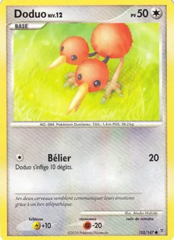 Doduo 102