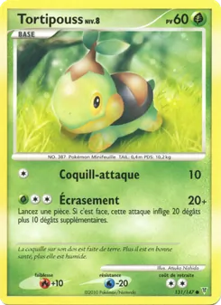 Tortipouss 131