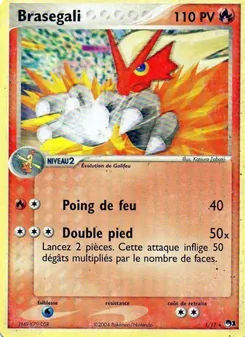 Brasegali 1