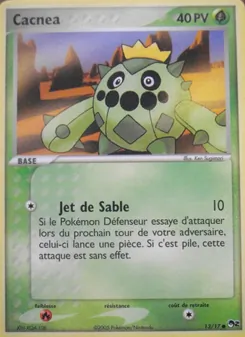 Cacnea 13