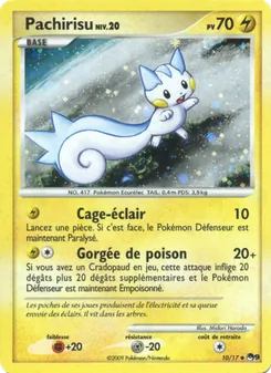 Pachirisu 10