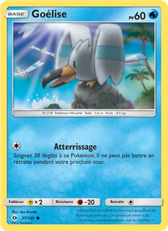 Goélise 37