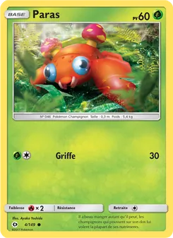 Paras 4