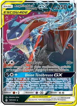 Amphinobi et Zoroark GX 107