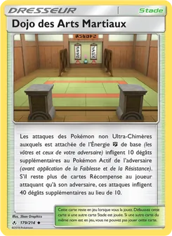 Dojo des Arts Martiaux 179