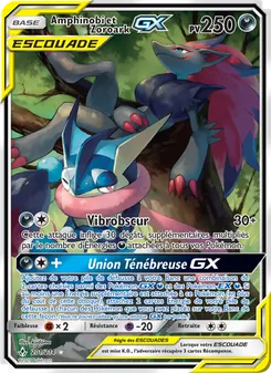 Amphinobi et Zoroark GX 201