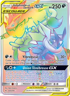 Amphinobi et Zoroark GX 222