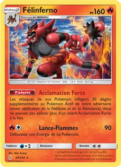Félinferno 29
