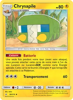 Chrysapile 58