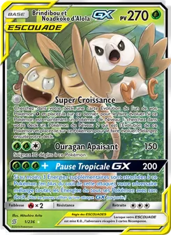 Brindibou et Noadkoko d’Alola GX 1