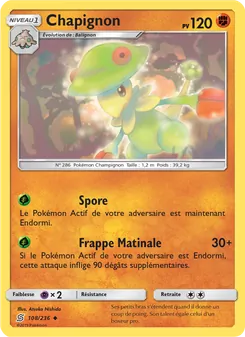 Chapignon 108