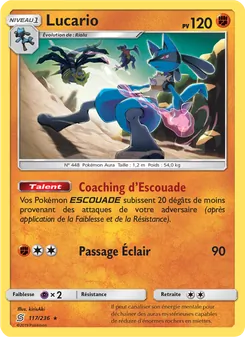 Lucario 117