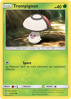 Trompignon 13