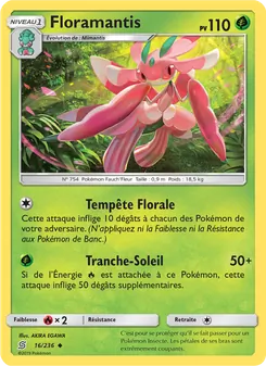 Floramantis 16