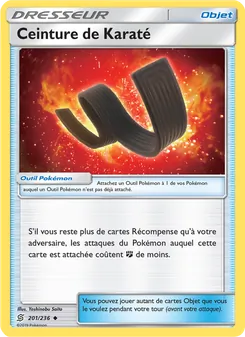 Ceinture de Karaté 201
