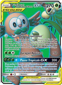 Brindibou et Noadkoko d’Alola GX 214