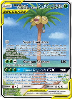 Brindibou et Noadkoko d’Alola GX 215