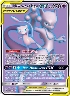 Mewtwo et Mew GX 222