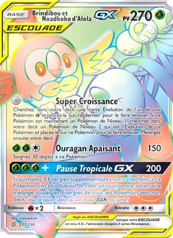 Brindibou et Noadkoko d’Alola GX 237