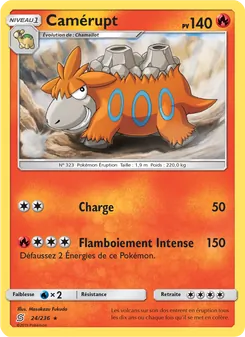 Camérupt 24