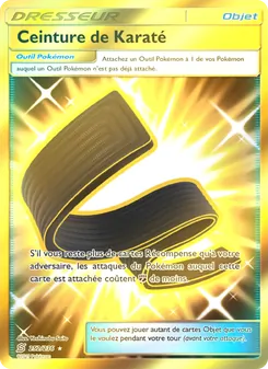 Ceinture de Karaté 252