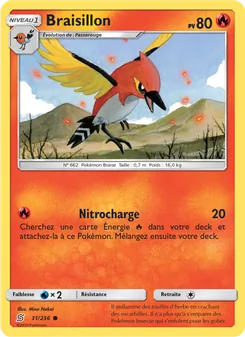 Braisillon 31