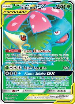 Florizarre et Vipélierre GX 210