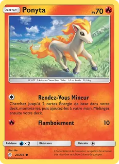 Ponyta 23